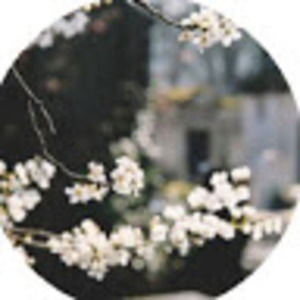 Meet your Posher, Hayden